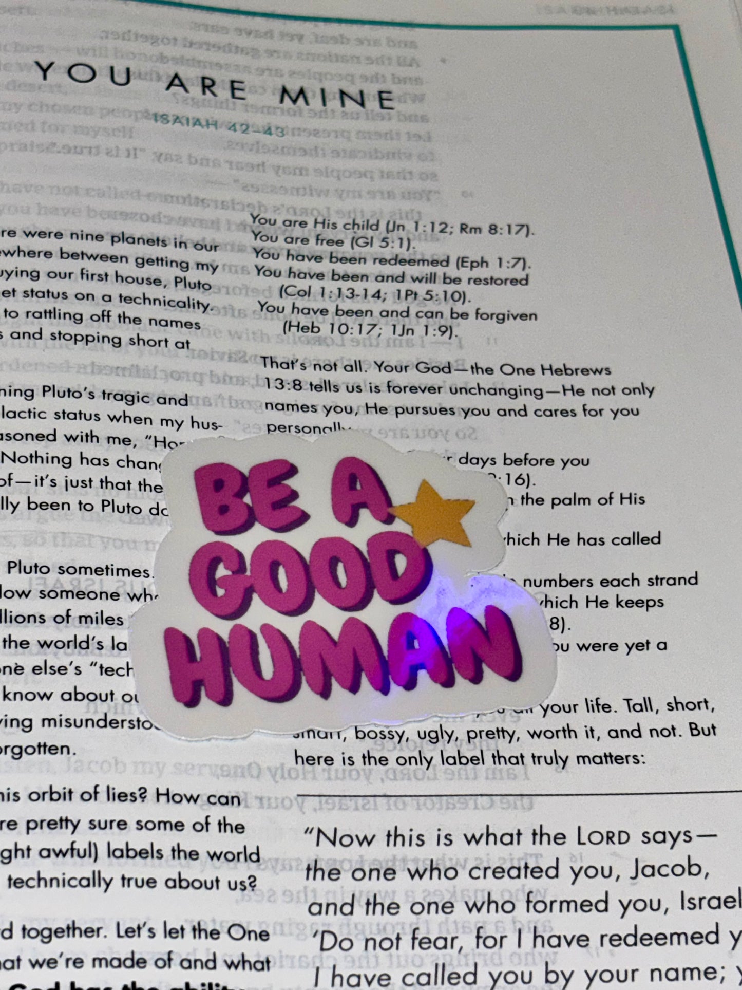 “Be a good human” sticker
